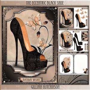 The Eccentric Black Shoe