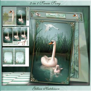 3 in 1 Swan Song