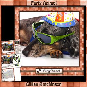 Party Animal