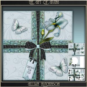 The Gift of Giving