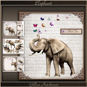 Elephant