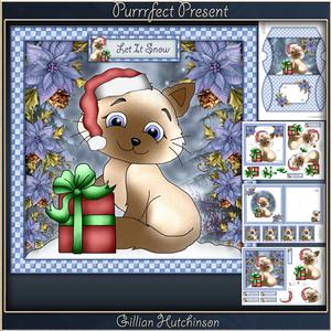 Purrrfect Present