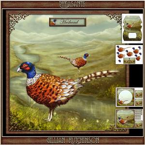 The Pheasant Field