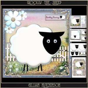 Woolly the Sheep
