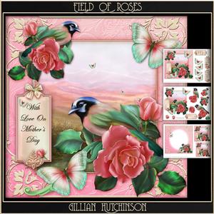 Field of Roses