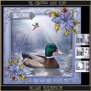 The Christmas Duck Pond