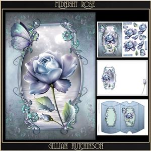 The Midnight Rose