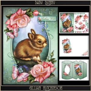 Baby Bunny