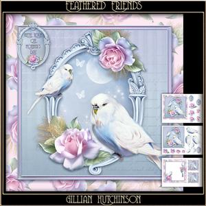Feathered Friends