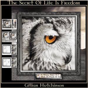 The Secret of Life is Freedom