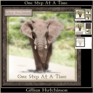 One Step at a Time