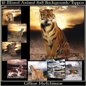 Mixed Animal Toppers/backgrounds