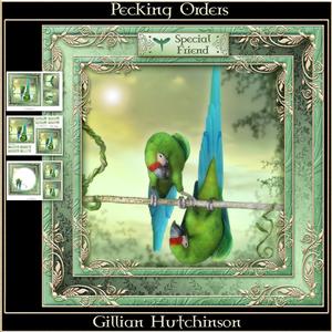 Pecking Orders