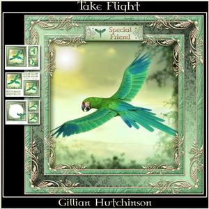 Take Flight