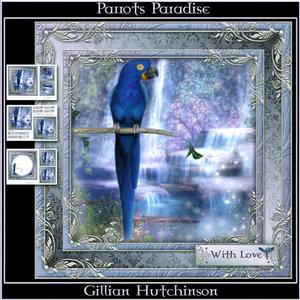 Parrots Paradise