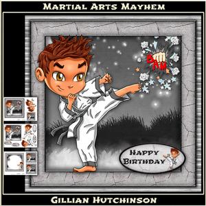 Martial Arts Mayhem