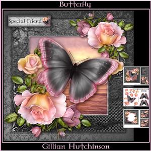 Butterfly