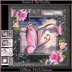 Sunset Butterfly