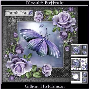 Moonlit Butterfly