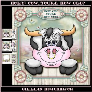 Holy Cow - You're How Old?
