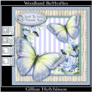 Woodland Butterflies