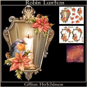 Robin Lantern