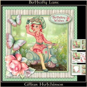 Butterfly Lane