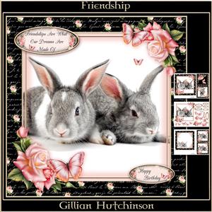 Friendship