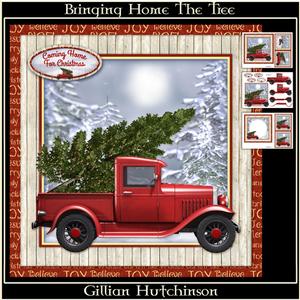 Bringing Home the Tree