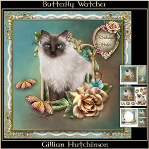 Butterfly Watcher