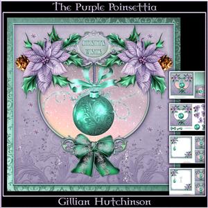 The Purple Poinsettia