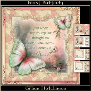 Forest Butterfly