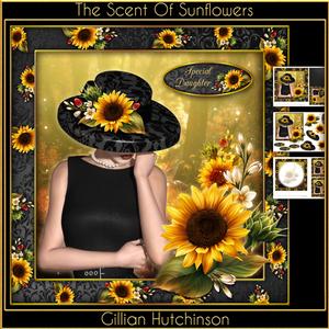 The Scent of Sunflowers