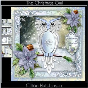 The Christmas Owl
