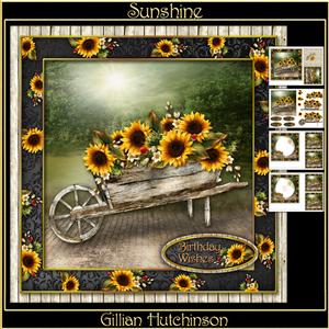 Sunshine
