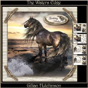 The Waters Edge