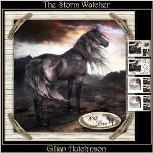 The Storm Watcher