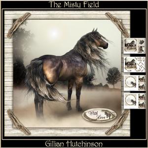 The Misty Field