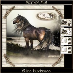 Morning Mist