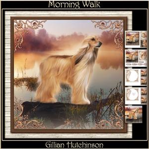 Morning Walk