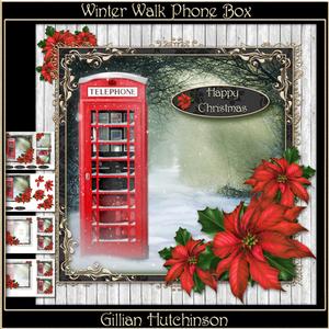 Winter Walk Phone Box