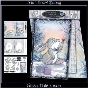 3 in 1 Snow Bunny