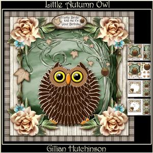 Little Autumn Owl