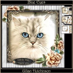 Blue Eyes