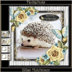 Hedgehugs