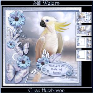 Still Waters