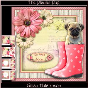 The Playful Pug