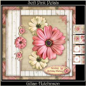 Soft Pink Petals