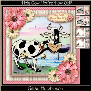 Holy Cow - you're How Old?