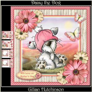 Daisy the Dog